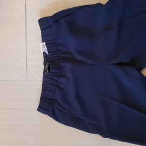 Banana republic navy pull on pants